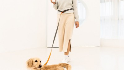 🐶 산책 필수템! 핸즈프리 리드줄 찐후기 + 핵이득 정보 대방출! 🐕